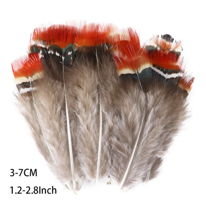 Pretty Natural Small Pheasant Feathers Chicken Feather for Crafts Earrings Making Accessories Decoration Peacock Plumes Wholesal