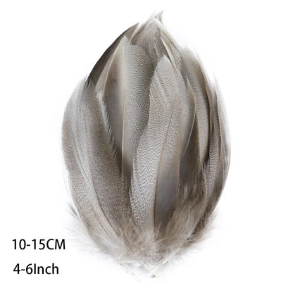 Pretty Natural Small Pheasant Feathers Chicken Feather for Crafts Earrings Making Accessories Decoration Peacock Plumes Wholesal