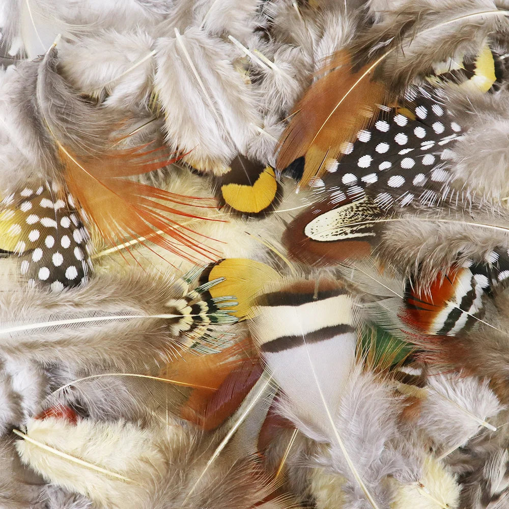 Pretty Natural Small Pheasant Feathers Chicken Feather for Crafts Earrings Making Accessories Decoration Peacock Plumes Wholesal