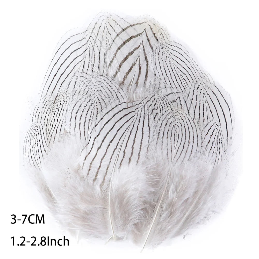 Pretty Natural Small Pheasant Feathers Chicken Feather for Crafts Earrings Making Accessories Decoration Peacock Plumes Wholesal