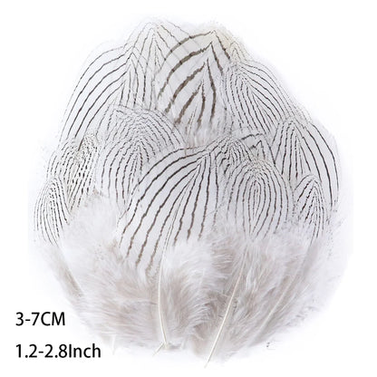 Pretty Natural Small Pheasant Feathers Chicken Feather for Crafts Earrings Making Accessories Decoration Peacock Plumes Wholesal