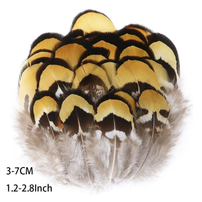 Pretty Natural Small Pheasant Feathers Chicken Feather for Crafts Earrings Making Accessories Decoration Peacock Plumes Wholesal