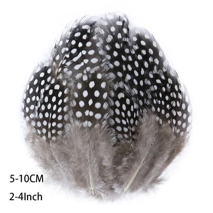 Pretty Natural Small Pheasant Feathers Chicken Feather for Crafts Earrings Making Accessories Decoration Peacock Plumes Wholesal