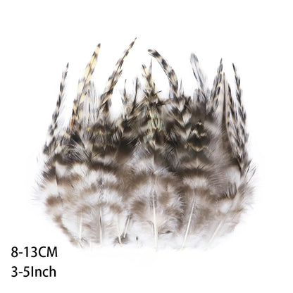 Pretty Natural Small Pheasant Feathers Chicken Feather for Crafts Earrings Making Accessories Decoration Peacock Plumes Wholesal