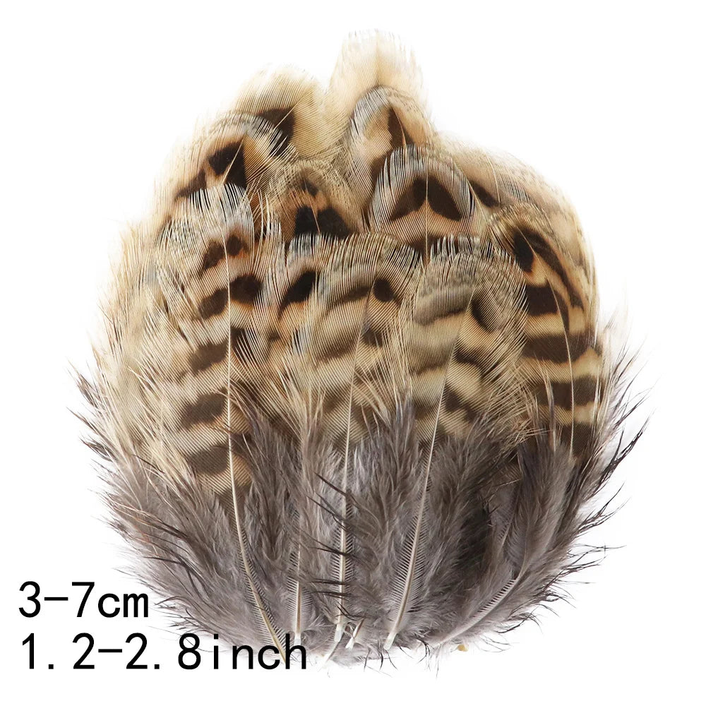 Pretty Natural Small Pheasant Feathers Chicken Feather for Crafts Earrings Making Accessories Decoration Peacock Plumes Wholesal
