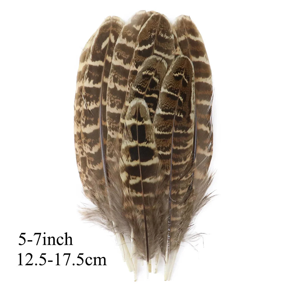 Pretty Natural Small Pheasant Feathers Chicken Feather for Crafts Earrings Making Accessories Decoration Peacock Plumes Wholesal