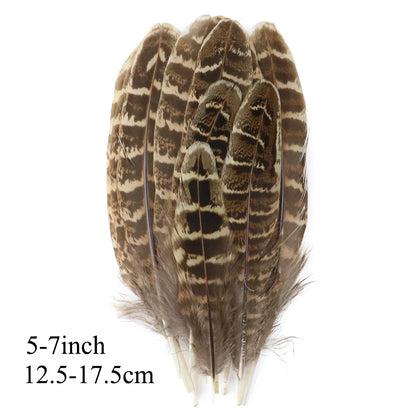 Pretty Natural Small Pheasant Feathers Chicken Feather for Crafts Earrings Making Accessories Decoration Peacock Plumes Wholesal