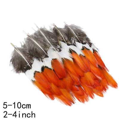 Pretty Natural Small Pheasant Feathers Chicken Feather for Crafts Earrings Making Accessories Decoration Peacock Plumes Wholesal