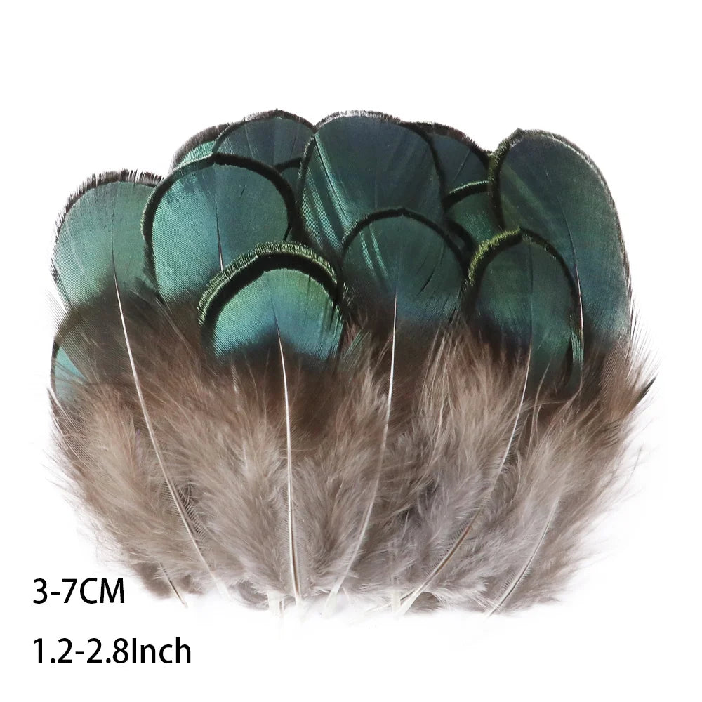 Pretty Natural Small Pheasant Feathers Chicken Feather for Crafts Earrings Making Accessories Decoration Peacock Plumes Wholesal