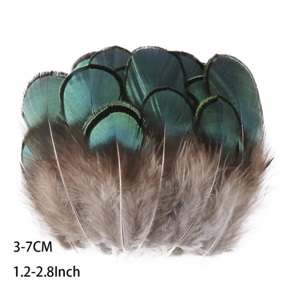 Pretty Natural Small Pheasant Feathers Chicken Feather for Crafts Earrings Making Accessories Decoration Peacock Plumes Wholesal