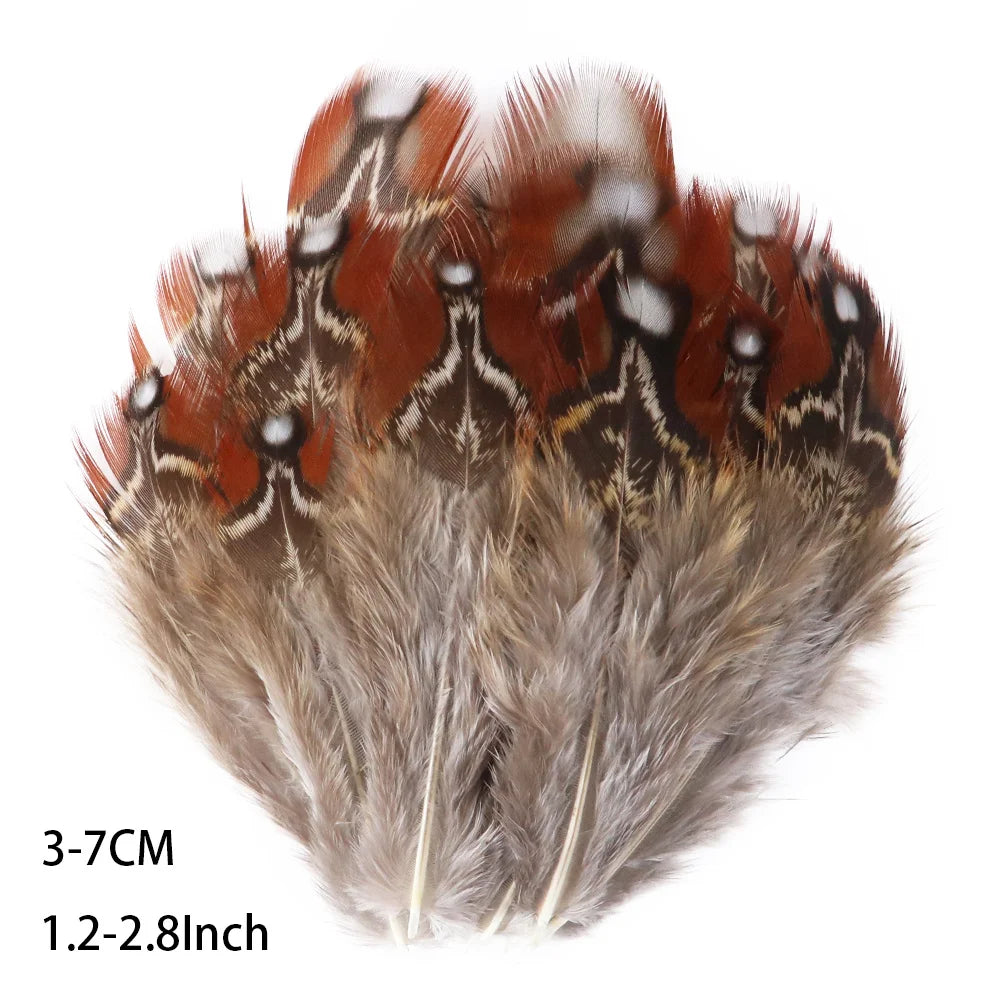 Pretty Natural Small Pheasant Feathers Chicken Feather for Crafts Earrings Making Accessories Decoration Peacock Plumes Wholesal