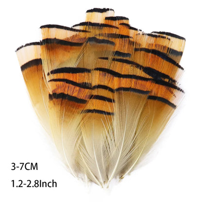 Pretty Natural Small Pheasant Feathers Chicken Feather for Crafts Earrings Making Accessories Decoration Peacock Plumes Wholesal