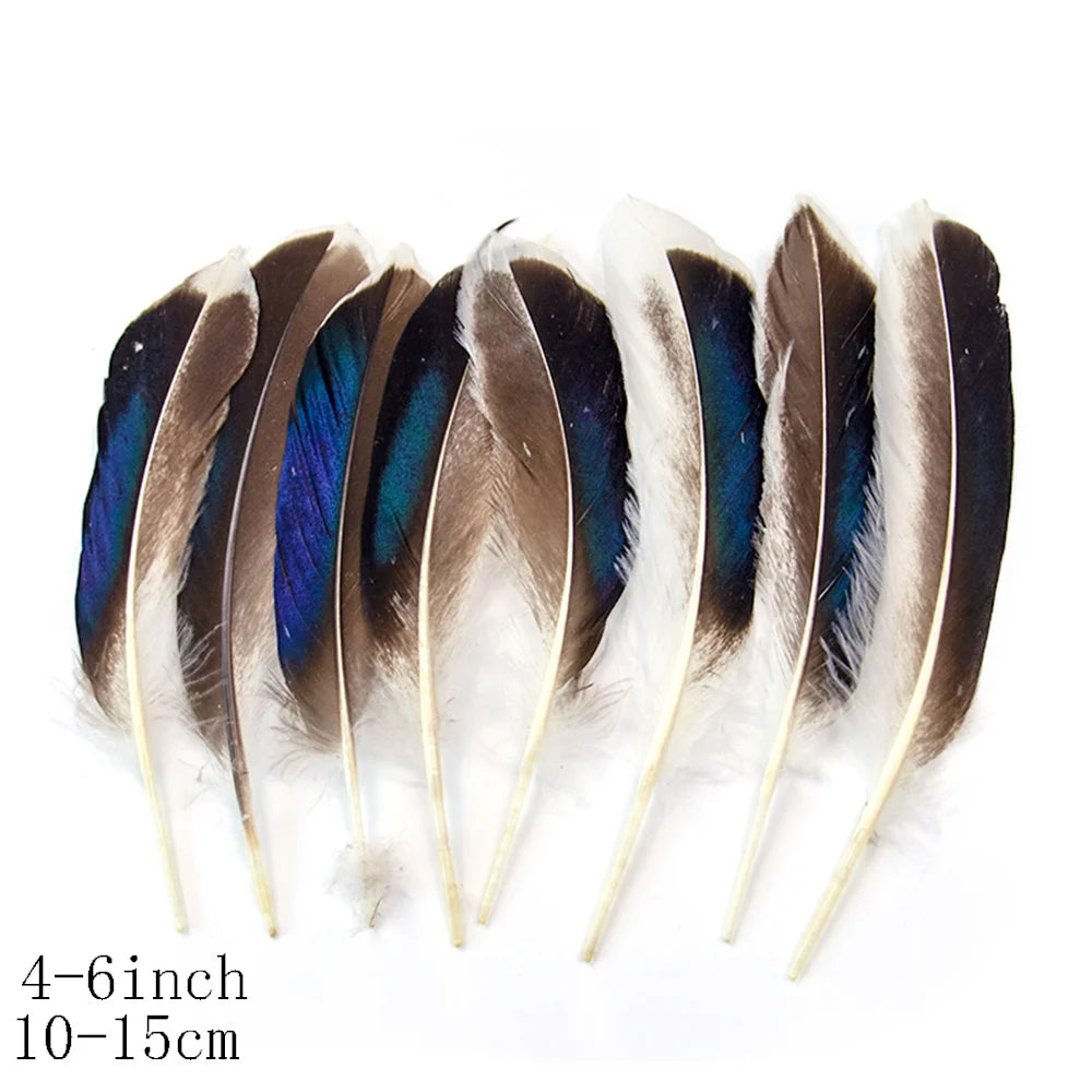 Pretty Natural Small Pheasant Feathers Chicken Feather for Crafts Earrings Making Accessories Decoration Peacock Plumes Wholesal