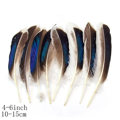 Pretty Natural Small Pheasant Feathers Chicken Feather for Crafts Earrings Making Accessories Decoration Peacock Plumes Wholesal