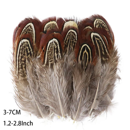 Pretty Natural Small Pheasant Feathers Chicken Feather for Crafts Earrings Making Accessories Decoration Peacock Plumes Wholesal
