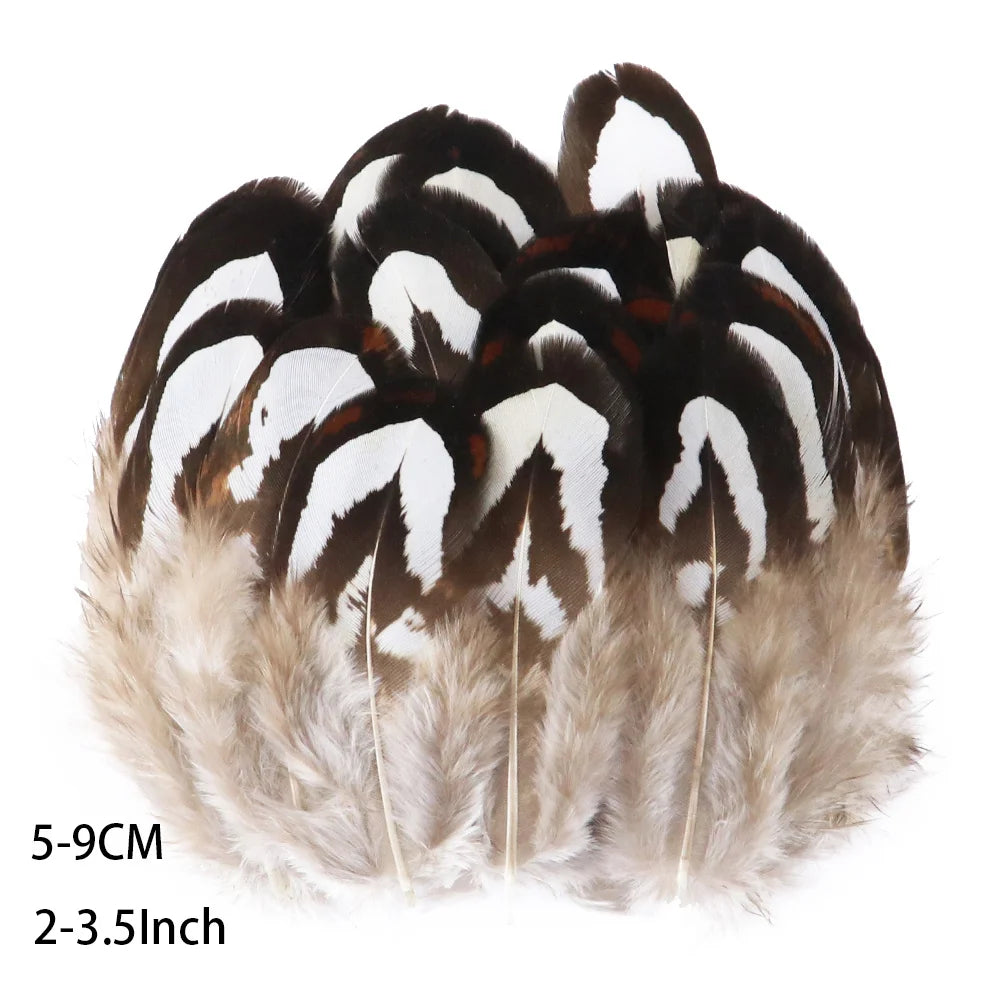 Pretty Natural Small Pheasant Feathers Chicken Feather for Crafts Earrings Making Accessories Decoration Peacock Plumes Wholesal