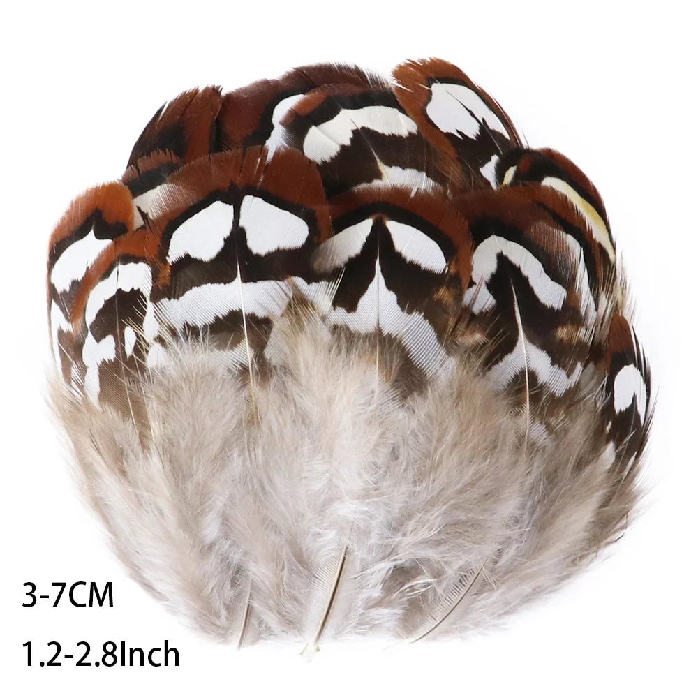Pretty Natural Small Pheasant Feathers Chicken Feather for Crafts Earrings Making Accessories Decoration Peacock Plumes Wholesal