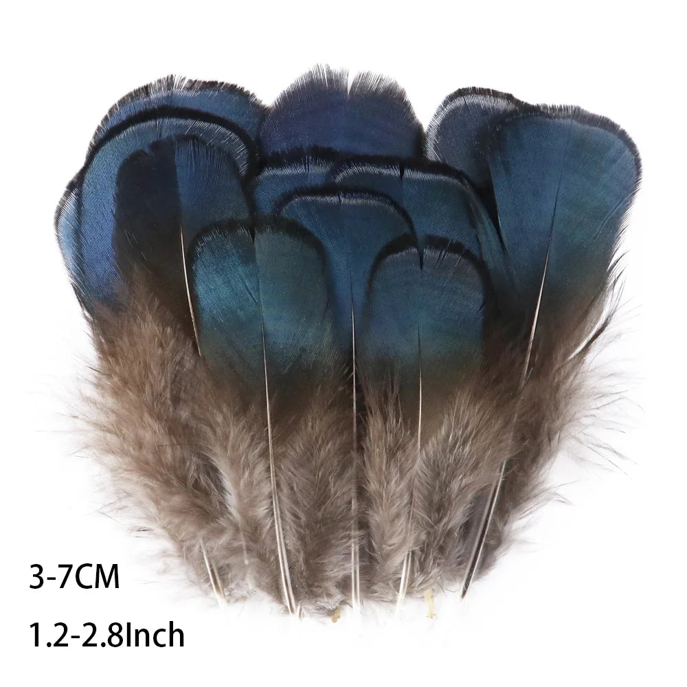 Pretty Natural Small Pheasant Feathers Chicken Feather for Crafts Earrings Making Accessories Decoration Peacock Plumes Wholesal