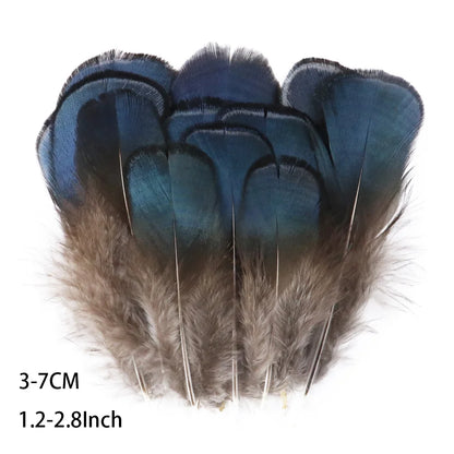 Pretty Natural Small Pheasant Feathers Chicken Feather for Crafts Earrings Making Accessories Decoration Peacock Plumes Wholesal