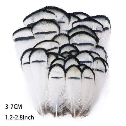 Pretty Natural Small Pheasant Feathers Chicken Feather for Crafts Earrings Making Accessories Decoration Peacock Plumes Wholesal