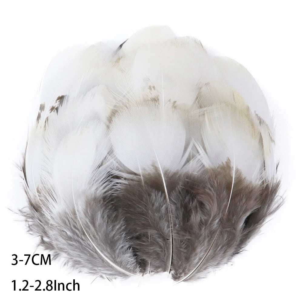 Pretty Natural Small Pheasant Feathers Chicken Feather for Crafts Earrings Making Accessories Decoration Peacock Plumes Wholesal