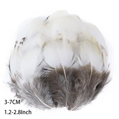 Pretty Natural Small Pheasant Feathers Chicken Feather for Crafts Earrings Making Accessories Decoration Peacock Plumes Wholesal