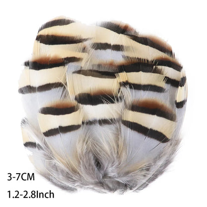 Pretty Natural Small Pheasant Feathers Chicken Feather for Crafts Earrings Making Accessories Decoration Peacock Plumes Wholesal